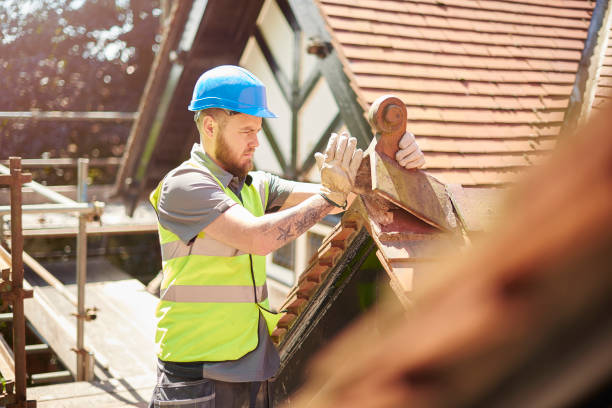 Best Roof Gutter Cleaning  in Jefferson, IA